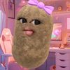 kaylabusukk
