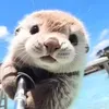 accphucuatui_9