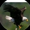 mdawood.khan.4668