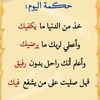 ahmoeb4
