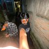 guteng05new