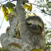 zoowhut0