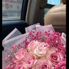 hanine_s_d