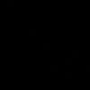 zzv033