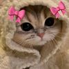 hatice17867