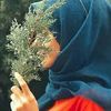 noor.khan2457