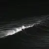nho_05090