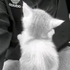 чеширский кот
