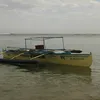 nestor.ala