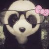 panda.baby72