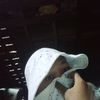 aung.gyi7265