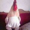 httpsvt.tiktok.comzsdm26