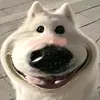 tin.minh.inh4