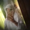 nur.aisyah2090
