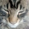maru4444444444