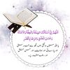 zainabg458