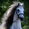 ahmad.algharaghul1