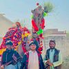 usmansail7864