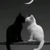 h.ror.o