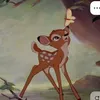 ellarb0
