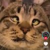 user6102200398454
