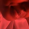 asma.malapo871