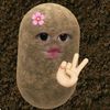 ainisyppa
