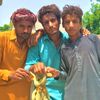 asifofficial316