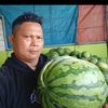 prapto.gringsing