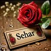 sehar9223