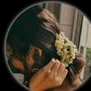 user80016158633518