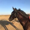 yasinb387