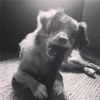 bayyt_42