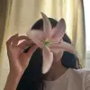 lnorj8