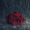 desativados..ajshakad