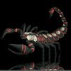 scorpio_9907