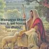 user8834208583003