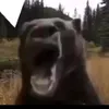 ladouche64