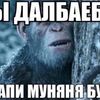 Т1МA V БИО