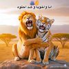 user8515417303969