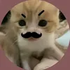 zazaalmea2x