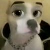 cvsmix_art3