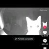 fabian_alex7