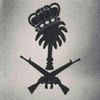 fahadjpl1zk