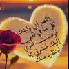 user8155135483603