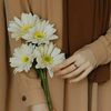 hanifah2585