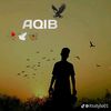 onlyaqib3