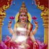 suresh.jibodh4