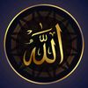 mansab.ali5745