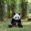 panda_cuteness4ever